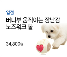 버디부 버디볼