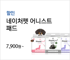 어니스트패드