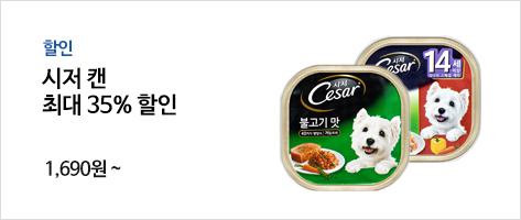 시저캔 할인