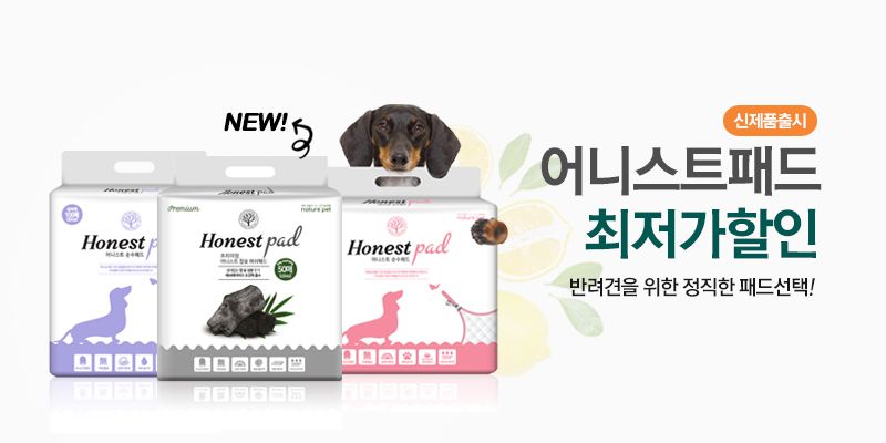 어니스트패드