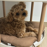 후기