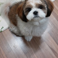 후기