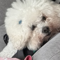 후기