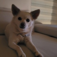후기