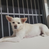 후기