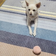 후기